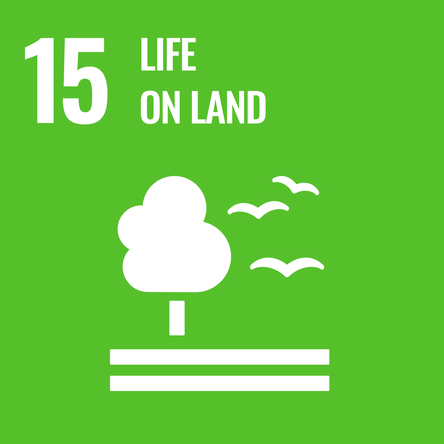 United Nations Sustainable Development Goal 15 - Life on Land